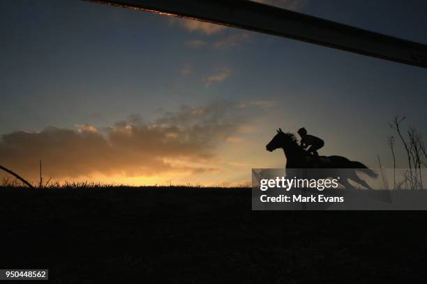 Pursuit of Honour ridden by Ashleigh Borg rides on the course proper during trackwork ahead of Stand Alone Saturday at the Hawkesbury Race Club on...