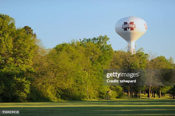water tower at mississippi state university - starkville stock pictures, royalty-free photos & images