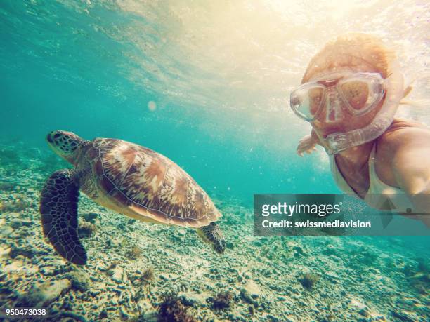 selfie mädchens mit schildkröte unterwasser - snorkel beach stock-fotos und bilder