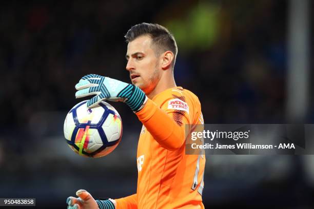 Martin Dubravka of Newcastle United during the Premier League match between Everton and Newcastle United at Goodison Park on April 23, 2018 in...