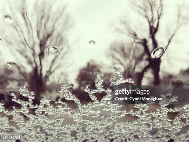 snow and ice on a car windshield - snow melting on car stock pictures, royalty-free photos & images