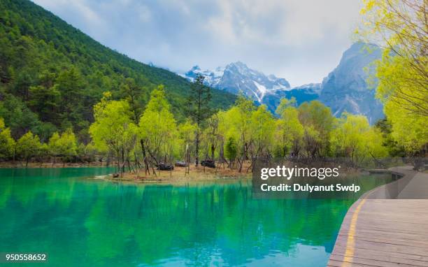 blue moon valley in jade dragon snow mountain. - montagna del dragone di giada foto e immagini stock