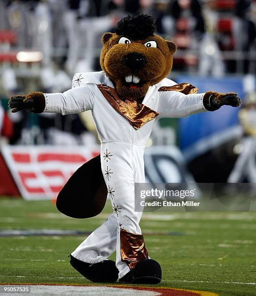 Oregon State Beavers mascot Benny appears on the field in an Elvis Presley-inspired costume before the team's game against the Brigham Young...