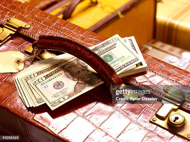 crocodile skin suitcase with us dollars - parsons green stockfoto's en -beelden