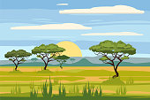 African landscape, savannah, sunset, vector, illustration, cartoon style, isolated