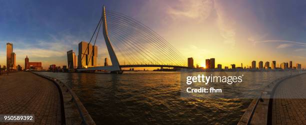 rotterdam skyline with erasmusbridge (southholland, netherlands) - rotterdam skyline stock pictures, royalty-free photos & images