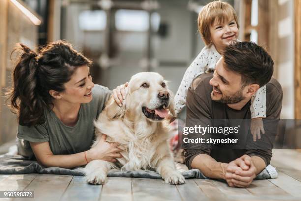 young happy family enjoying with their golden retriever at home. - happy family at home dog stock pictures, royalty-free photos & images