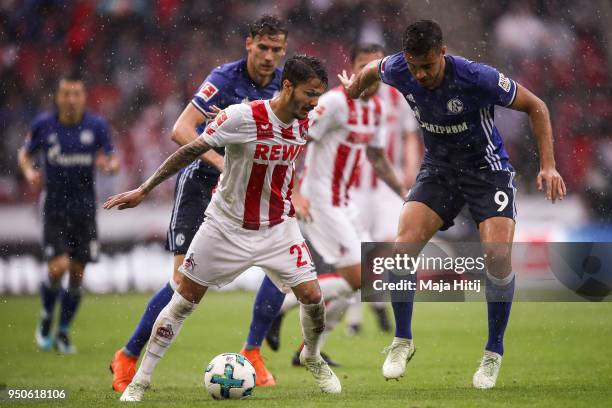 Leon Goretzka of Schalke, Leonardo Bittencourt of 1.FC Koeln and Franco di Santo of Schalke battle for the ball during the Bundesliga match between...