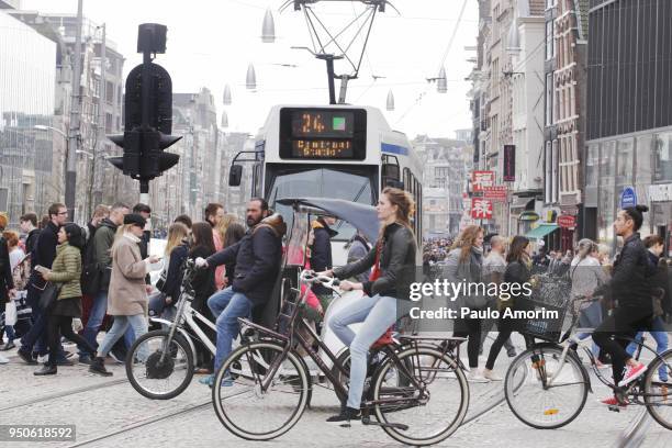 daily life amsterdam - pedestrian car stock pictures, royalty-free photos & images