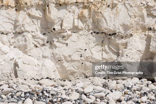 a section of the cliff face of the seven sisters chalk cliffs - chert fotografías e imágenes de stock