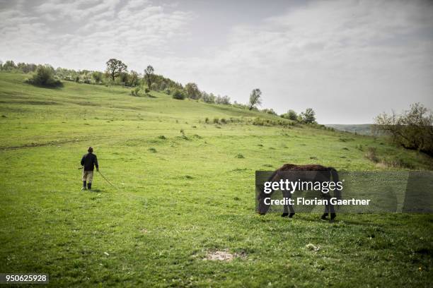 Man walks with a horse on April 17, 2018 in Porumbenii Mari, Romania.