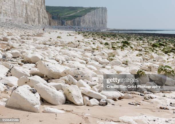 rock fall debris, seven sisters cliffs - chert stock pictures, royalty-free photos & images