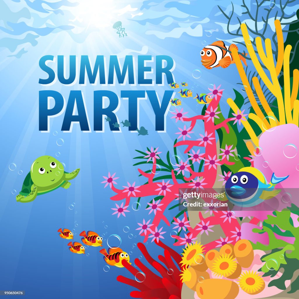 Summer Dive Party