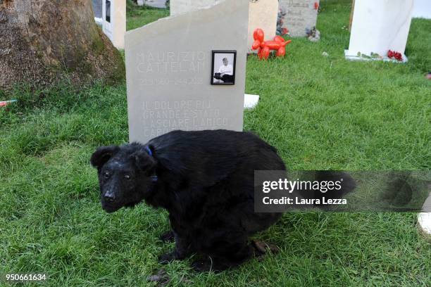 The gravestone of the artist Maurizio Cattelan from the art installation Eternity is displayed after the ceremony where Italian artist Maurizio...