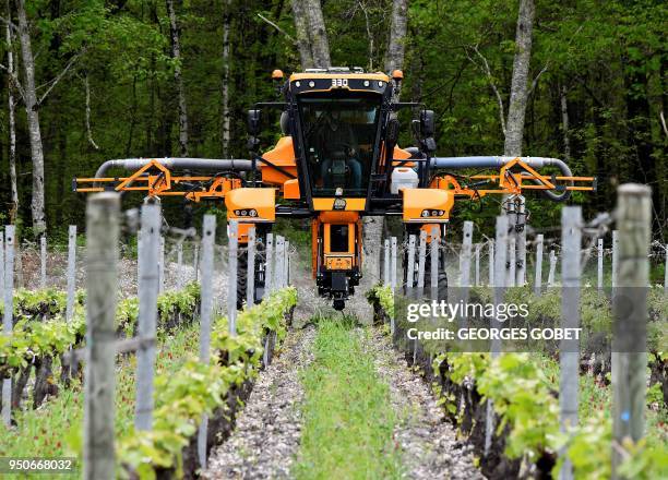 Worker drives a vineyard fumigation tractor to spread an initial phytosanitary treatment against mildew and powdery mildew, two of the main diseases...