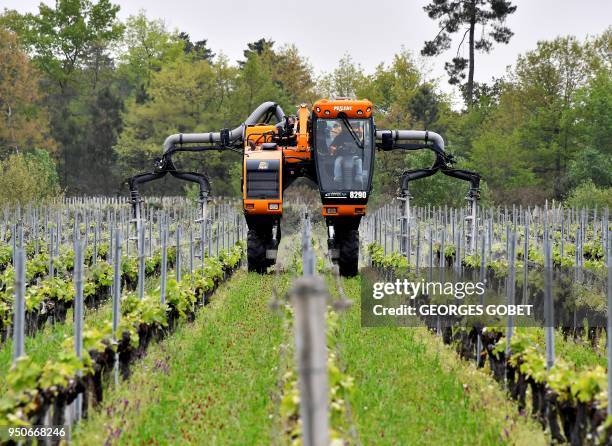 Worker drives a vineyard fumigation tractor to spread an initial phytosanitary treatment against mildew and powdery mildew, two of the main diseases...