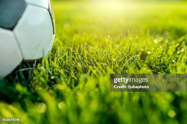 balón de fútbol de gras verde - soccer goal fotografías e imágenes de stock