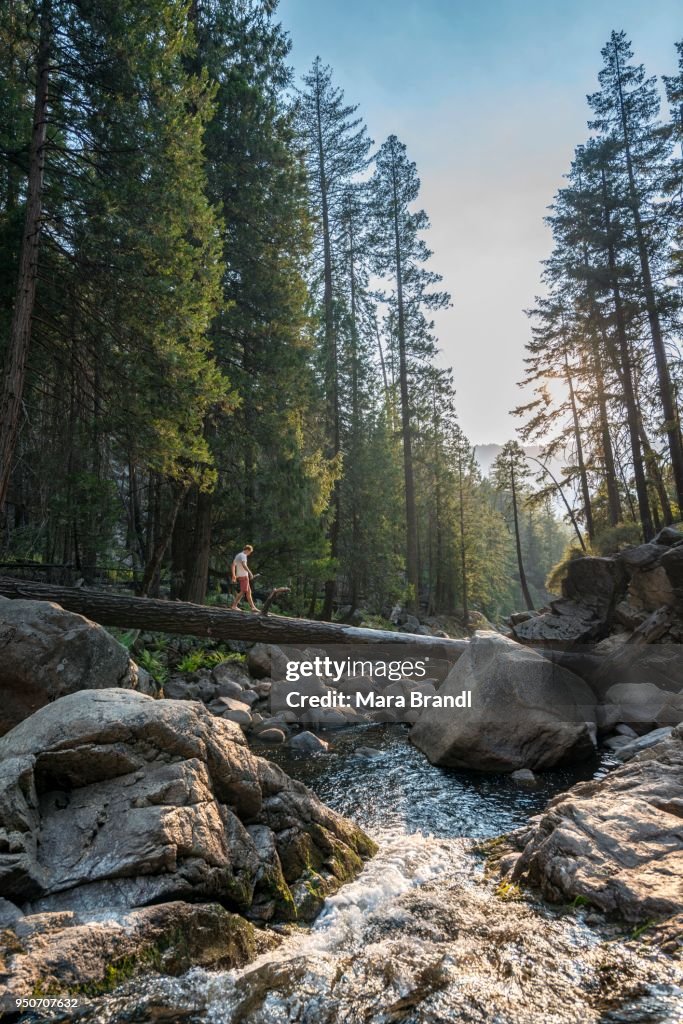 Young man crossing a tree trunk over the Merced River, Mist Trail, Yosemite National Park, California, USA