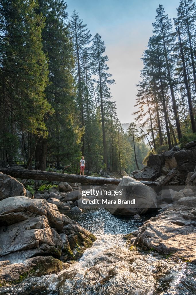 Young man crossing a tree trunk over the Merced River, Mist Trail, Yosemite National Park, California, USA