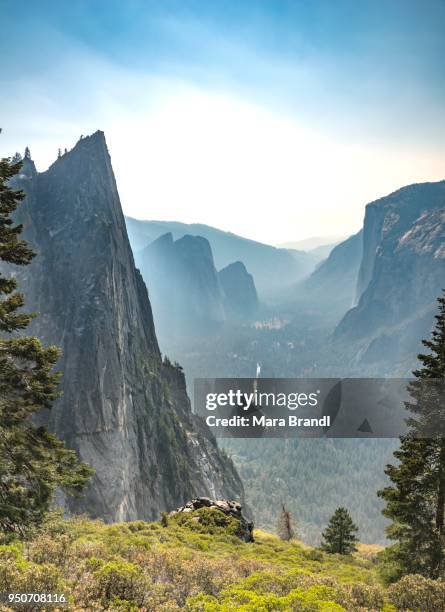 view of yosemite valley, four mile trail, taft point, el capitan, yosemite national park, california, usa - mile stone stock pictures, royalty-free photos & images