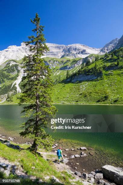 oberer soiernsee and hikers, mittenwald, bavaria, germany - karwendel mountains stockfoto's en -beelden