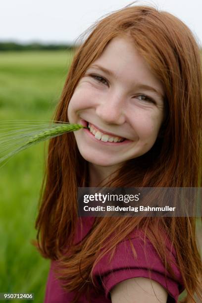 smiling teenage girl, laughing, with barley grass in her mouth, germany - 12 ears stock pictures, royalty-free photos & images