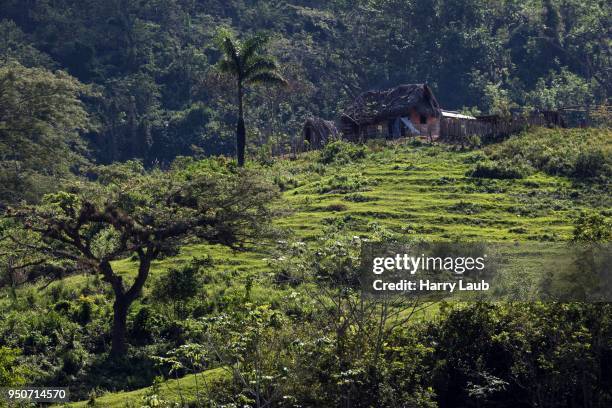 farm, cottage, cruce de los banos, sierra maestra, santigo de cuba province, cuba - maestra stock pictures, royalty-free photos & images