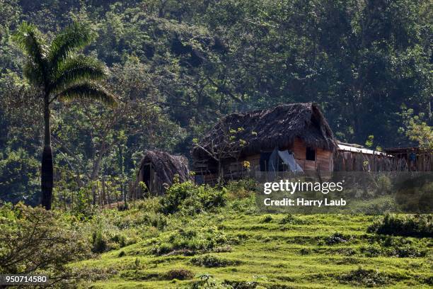 farm, cottage, cruce de los banos, sierra maestra, santigo de cuba province, cuba - los banos stock-fotos und bilder