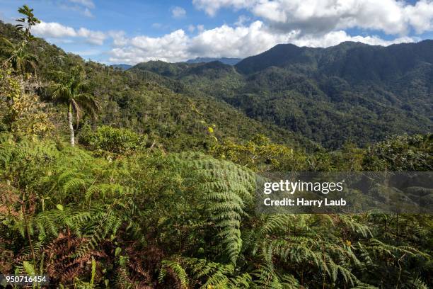 view of the mountainous landscape in turquino national park, sierra maestra, granma province, cuba - maestra stock pictures, royalty-free photos & images