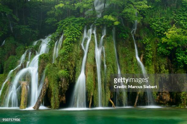 waterfall, plitvice lakes national park, jezera, lika-senj county, croatia - kommunen lika senj bildbanksfoton och bilder