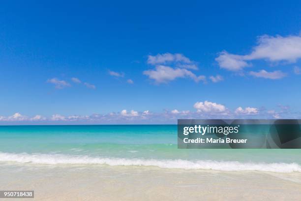 turquoise water on the beach, island of cayo santa maria, greater antilles, caribbean, cuba - cayo santa maria stock-fotos und bilder