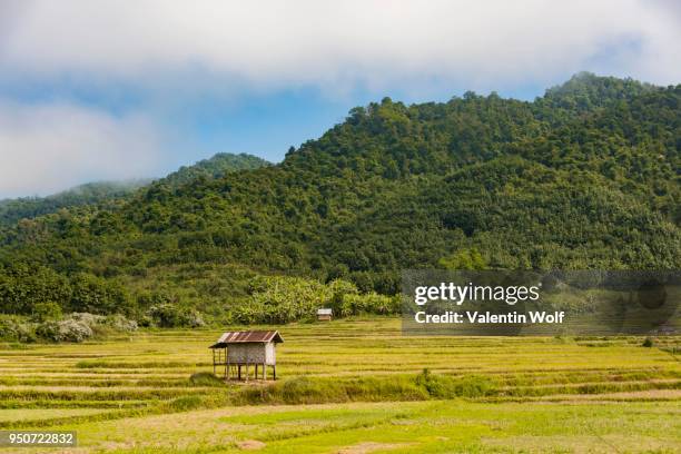 Luang Namtha Province Fotografías e imágenes de stock Getty Images
