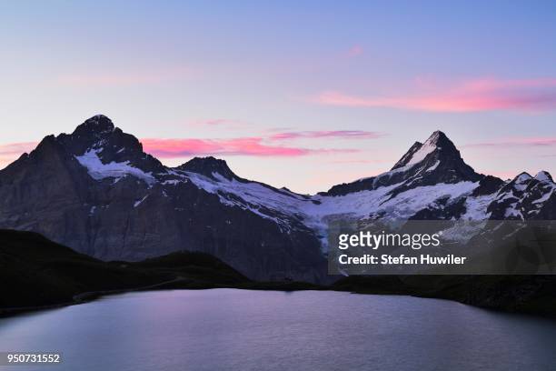 early morning at bachalpsee lake, wetterhorn, schreckhorn, finsteraarhorn and first, grindelwald, canton of bern, switzerland - schreckhorn stock pictures, royalty-free photos & images