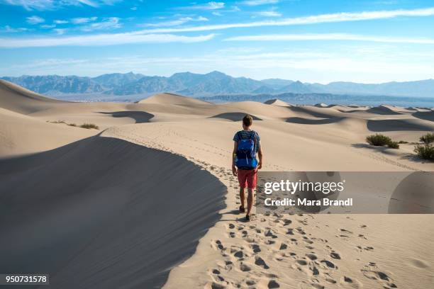 young man hiking on sand dunes, tourist, mesquite flat sand dunes, foothills of amargosa range behind, death valley, death valley national park, california, usa - howse peak stock-fotos und bilder