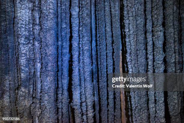 illuminated cave, stalactites, thien d??ng cave, paradise cave paradise cave, national park phong nha-ke bang, phong nha, quang binh, vietnam - thien duong cave stock pictures, royalty-free photos & images