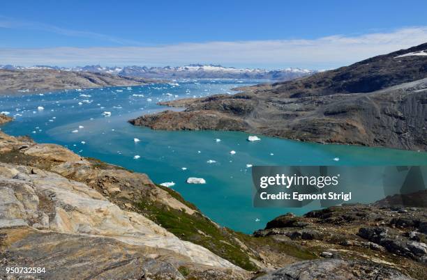 johan petersen fjord, kleine eisberge, bei sammileq, east greenland, greenland - eisberge stock pictures, royalty-free photos & images