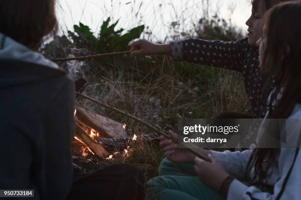 abend am lagerfeuer mit kindern. - marshmallow stock-fotos und bilder