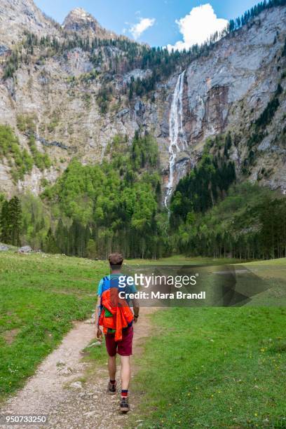 hiker on way to roethbach waterfall, highest waterfall in germany, salet am koenigssee, national park berchtesgaden, berchtesgadener land, upper bavaria, bavaria, germany - berchtesgaden national park bildbanksfoton och bilder