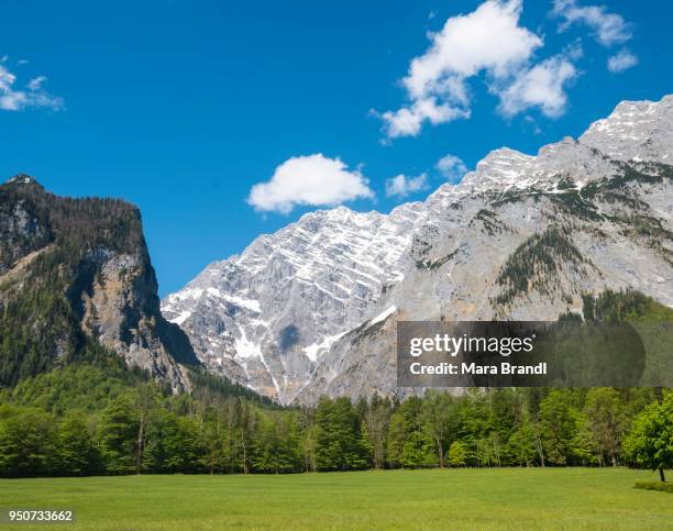 view of eastern slope of the watzmann, snow melt, berchtesgadener land, upper bavaria, bavaria, germany - howse peak stock-fotos und bilder