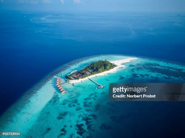 mayaafushi island resort, offshore coral reef, ari atoll, indian ocean, maldives - ari atoll stock pictures, royalty-free photos & images