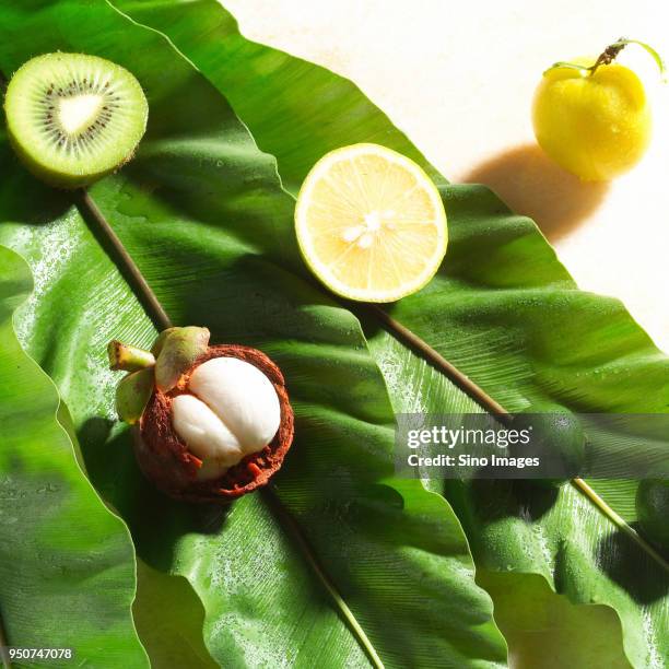 purple mangosteen, lemon, kiwi,  greengage against green leaf - lemon leaf stock pictures, royalty-free photos & images