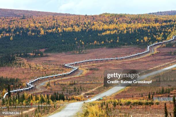 trans-alaska pipeline and dalton highway - rainer grosskopf stock pictures, royalty-free photos & images