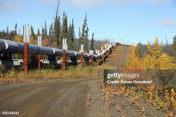 trans-alaska pipeline and dalton highway - rainer grosskopf - fotografias e filmes do acervo