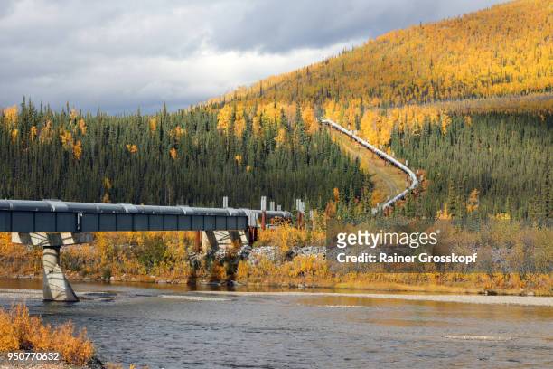 trans-alaska pipeline and dalton highway - rainer grosskopf - fotografias e filmes do acervo