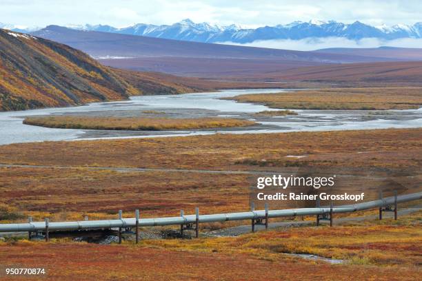 trans-alaska pipeline and dalton highway - rainer grosskopf fotografías e imágenes de stock