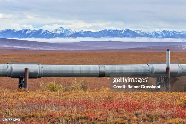 trans-alaska pipeline and dalton highway - rainer grosskopf stock pictures, royalty-free photos & images
