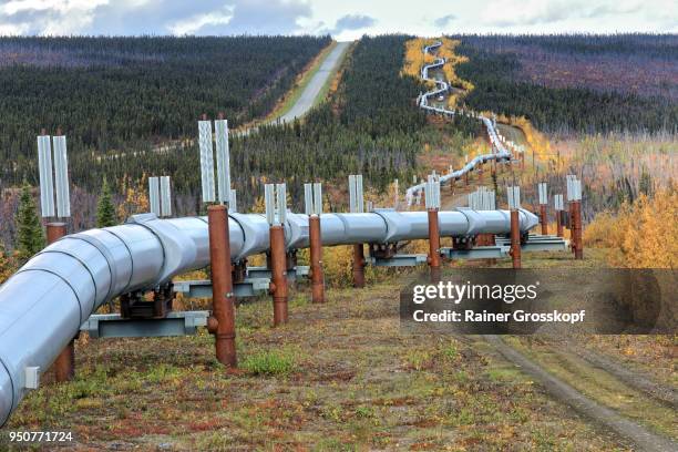 trans-alaska pipeline and dalton highway - rainer grosskopf photos et images de collection