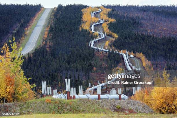 trans-alaska pipeline and dalton highway - rainer grosskopf 個照片及圖片檔