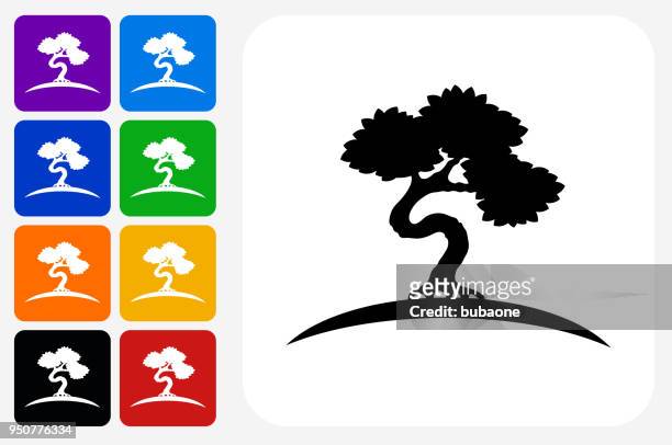 bonsai baum symbol square buttonset - bonsai tree stock-grafiken, -clipart, -cartoons und -symbole