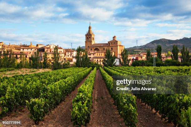 viñedo y pueblo de briñas en la comarca de haro - vineyard and village of briñas in the district of haro - vineyard fotografías e imágenes de stock